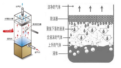 鈦材絲網除沫器示意圖